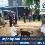 ปศุสัตว์บุรีรัมย์ เร่งสกัดพิษสุนัขบ้า ปูพรมฉีดวัคซีนยกคอก ประกาศเฝ้าระวังเข้ม 6 เดือน